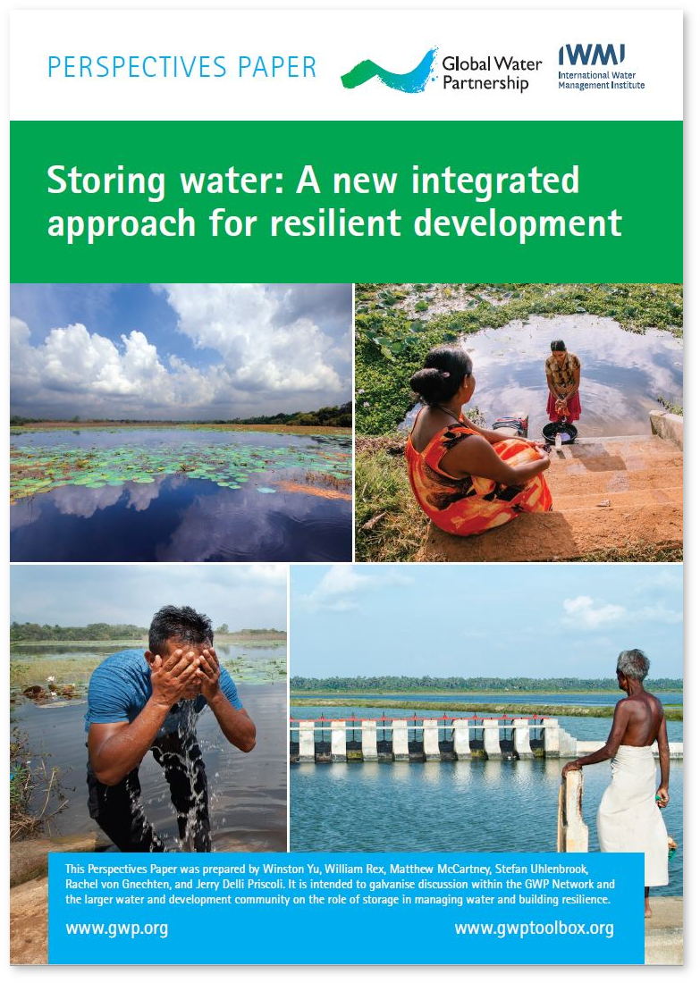 Perspectives paper on water storage