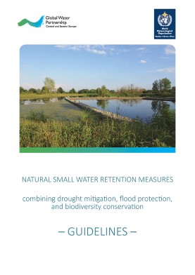 Guidelines Small water retention measures