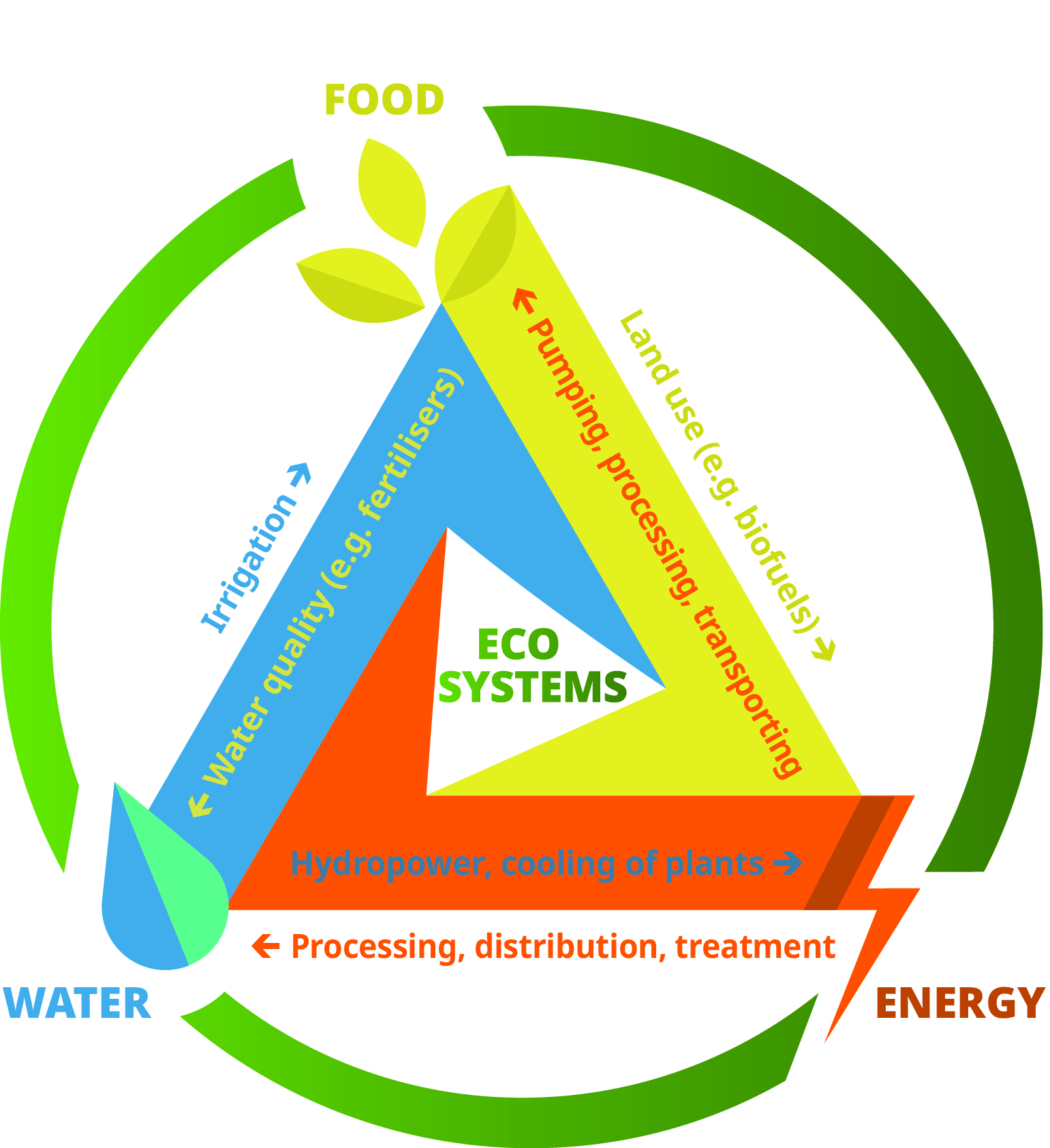 water in food